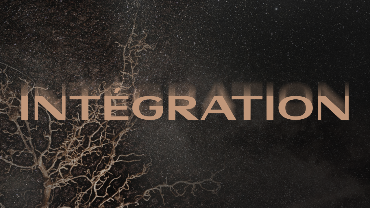 8-integration